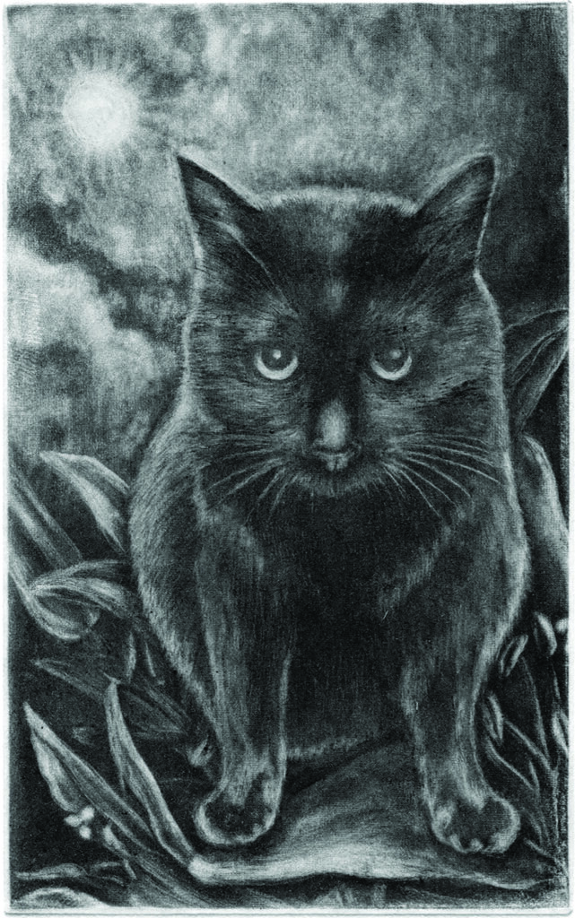 クロ イン ブラック (drypoint etching by Yaemi Shigyo)