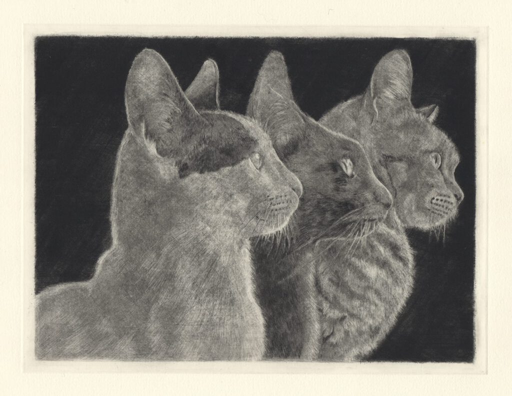 先々を見る（猫達世代） (drypoint etching by Yaemi Shigyo)