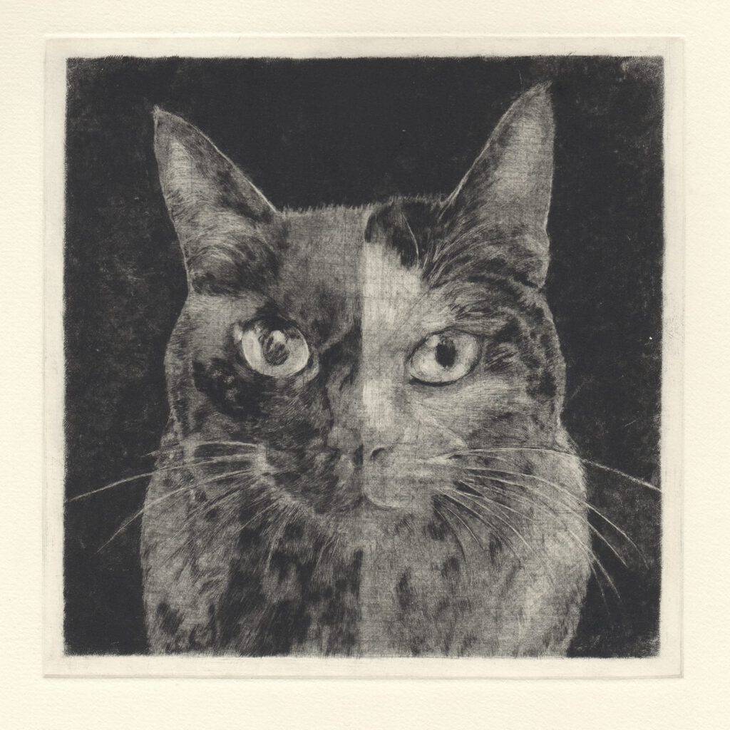 ハーフアンドハーフ (drypoint etching by Yaemi Shigyo)