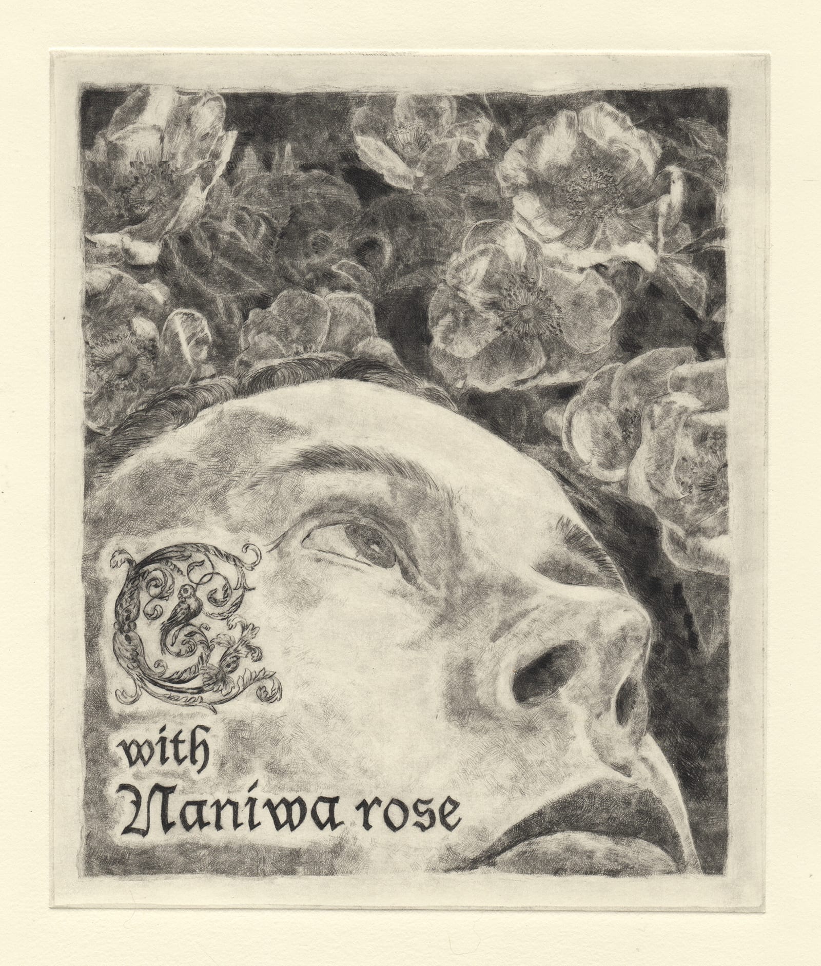 C with Naniwa rose 3 (drypoint etching by Yaemi Shigyo)
