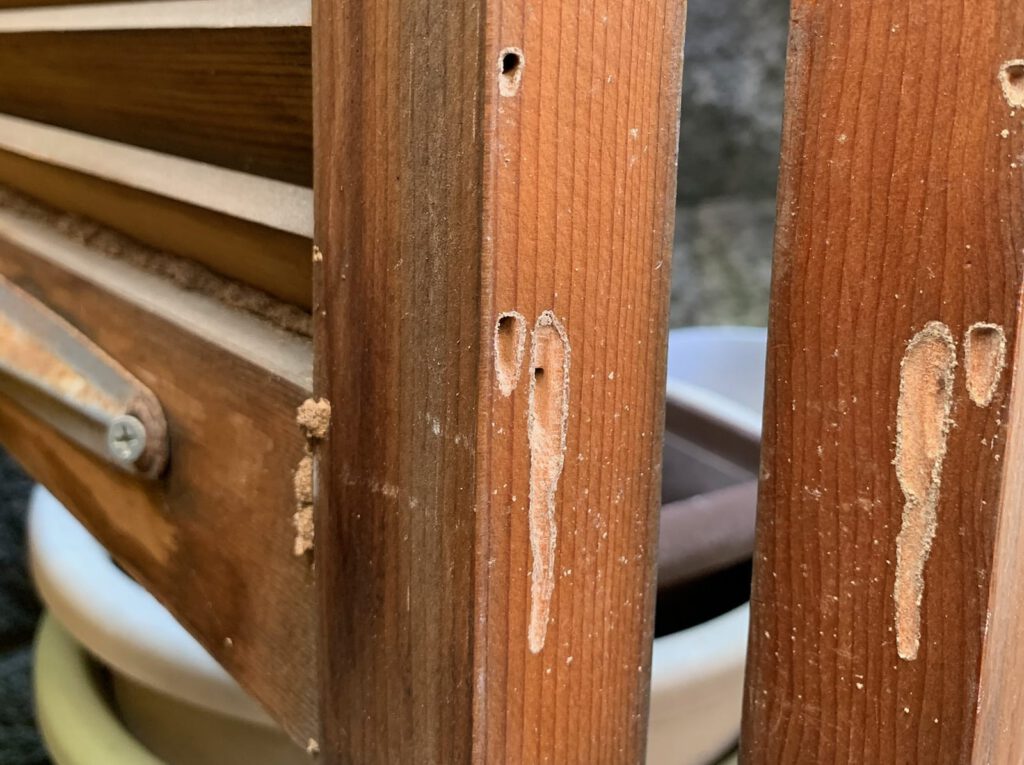 Illustration of termite damage (gate)
